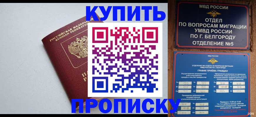 прописка регистрация в Чкаловске